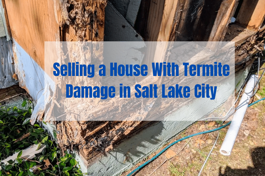 Selling a House With Termite Damage in Salt Lake City